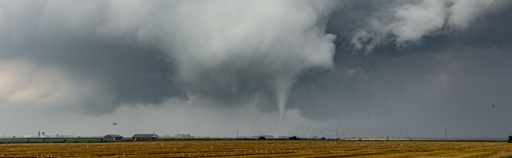 Tornado